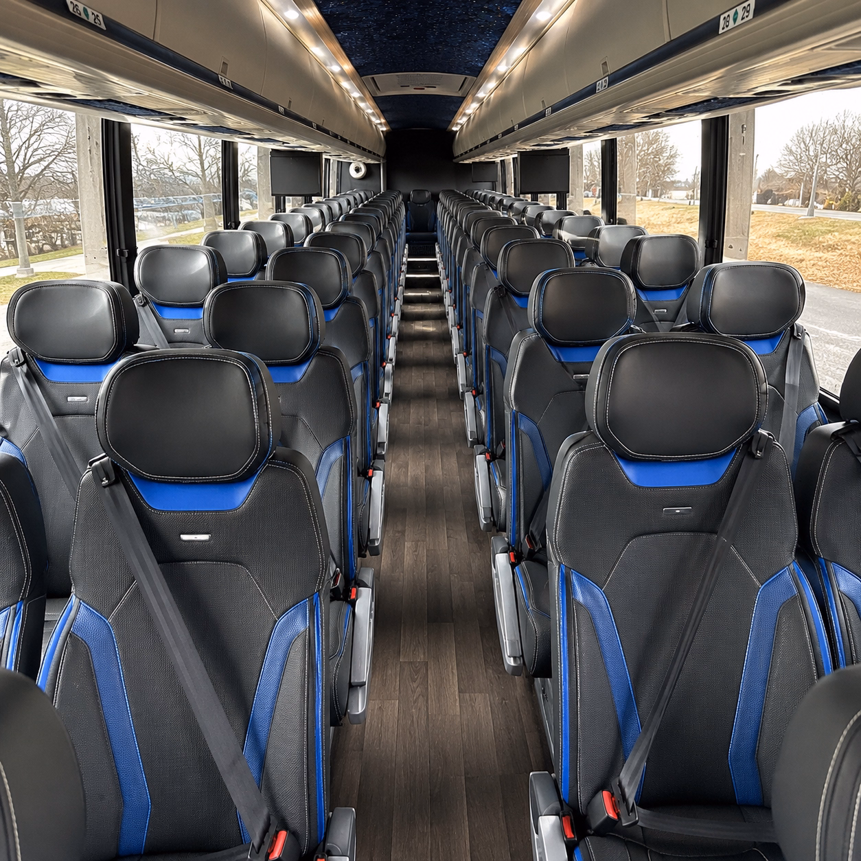 greenville long distance transportation